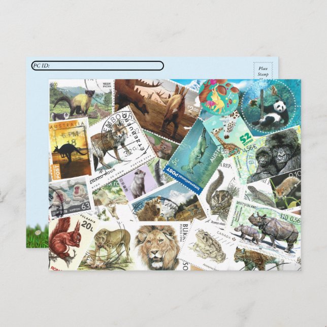 Postcrossing  Animal Postage Stamps Postcard (Front/Back)
