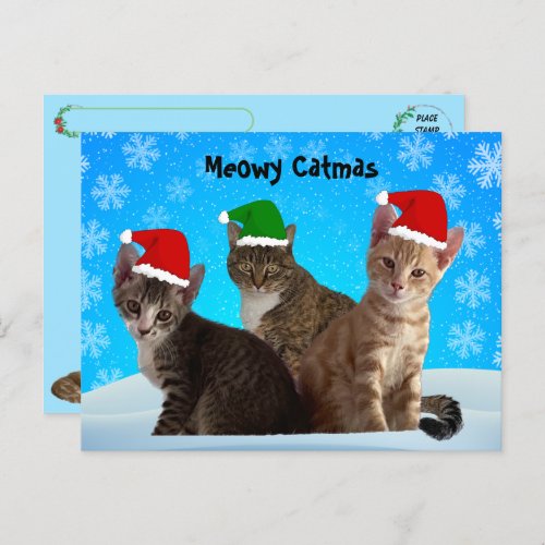 Postcrossing _Annie Taz and Tito _ Cat Christmas Holiday Postcard