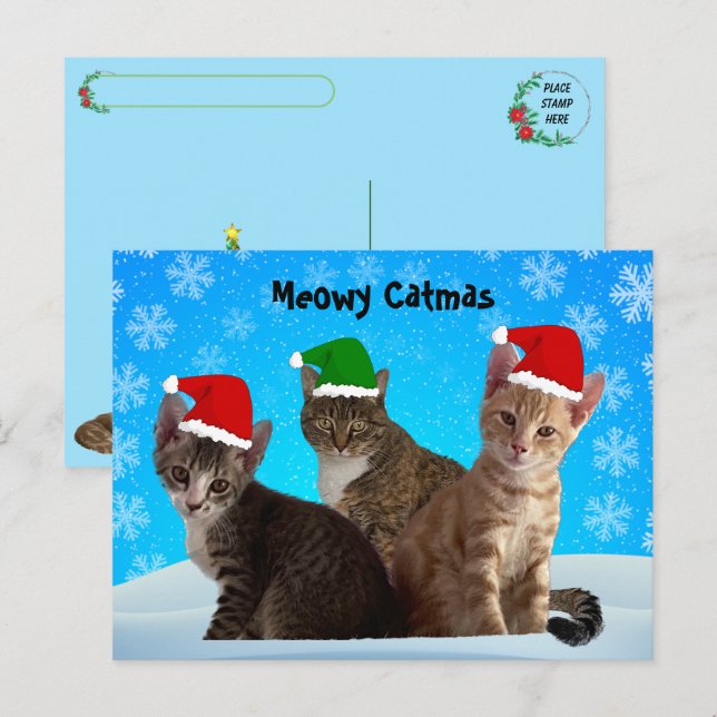 Postcrossing -Annie, Taz, and Tito - Cat Christmas Holiday Postcard (Front/Back)