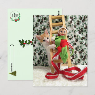 Postcrossing - Annie the Cat and the Christmas Elf Postcard