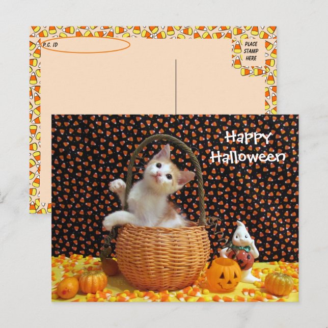 Postcrossing Annie's Curious Halloween Cat  Postcard (Front/Back)