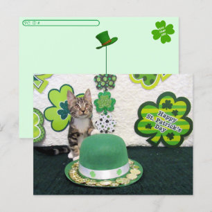 Postcrossing - Bandit The Cat's  St. Patrick's Day Postcard
