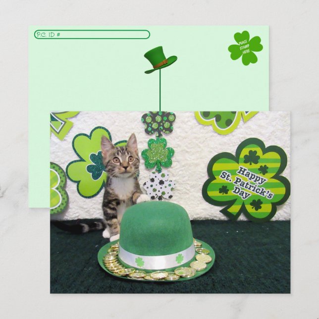 Postcrossing - Bandit The Cat's  St. Patrick's Day Postcard (Front/Back)