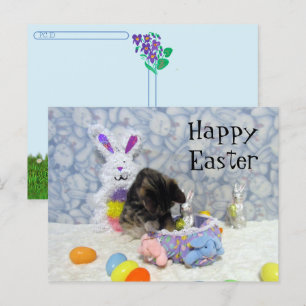 Postcrossing - Bandit's Easter Basket - Postcard