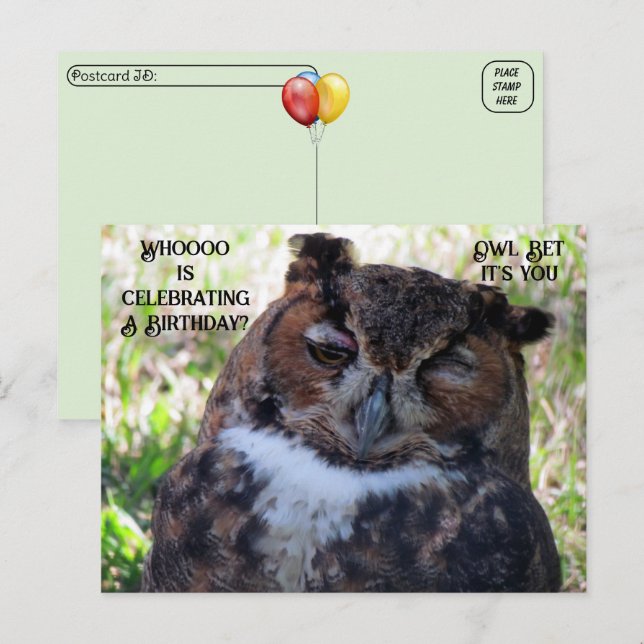 Postcrossing Birthday Great Horned Owl Postcard (Front/Back)
