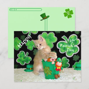 Postcrossing Buffington The Cat St. Patrick's Day Postcard