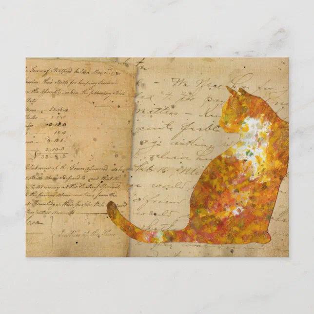 Postcrossing Cat Postcard Zazzle