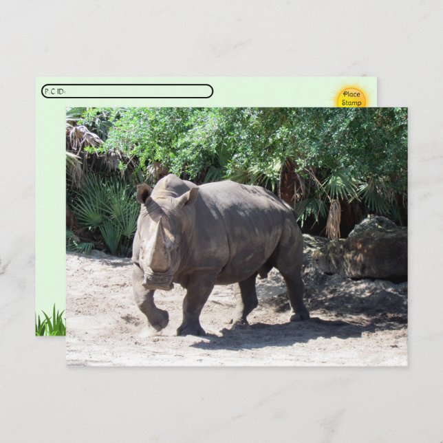 Postcrossing Charging Rhinoceros Postcard (Front/Back)