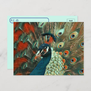 Postcrossing Colorful Peacock Postcard