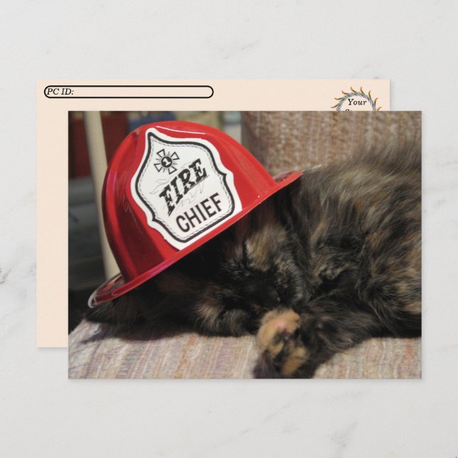 Postcrossing - Cute Cat Postcard - Fire Chief  (Front/Back)