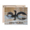 Postcrossing Double Crested Cormorant Swimming