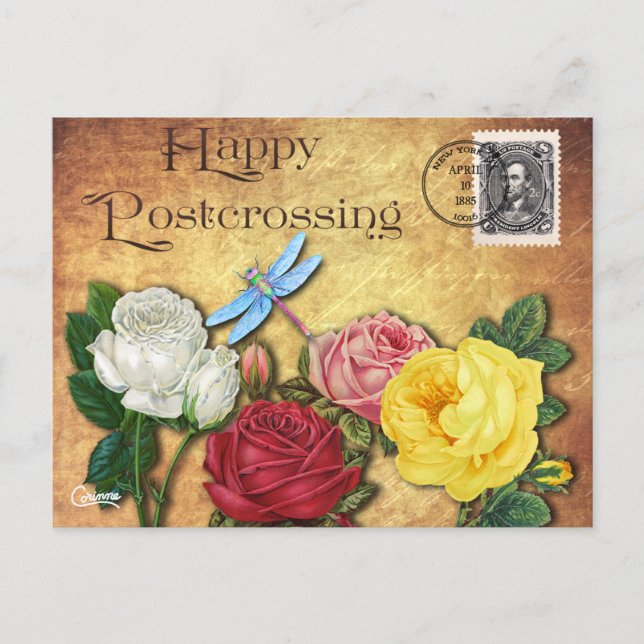 Postcrossing Dragonfly - Postcard (Front)