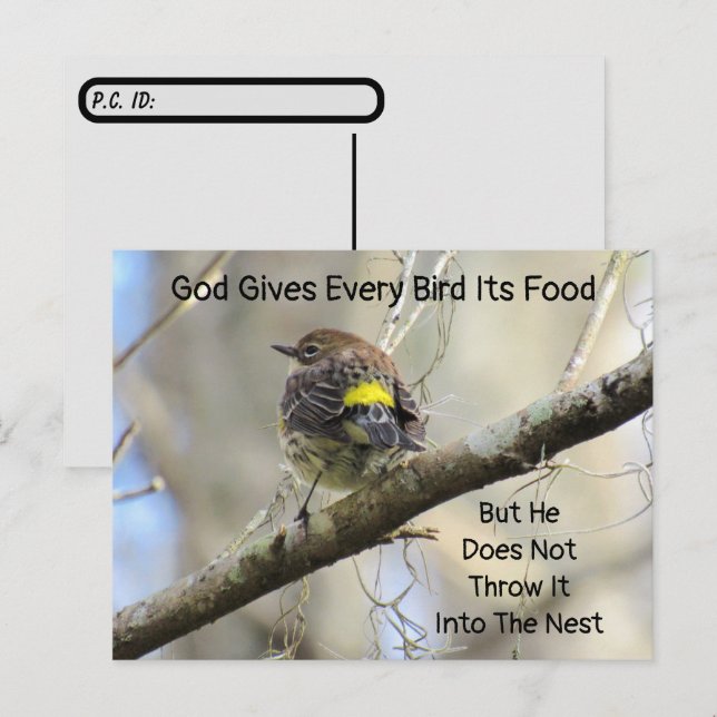 Postcrossing God Gives Every Bird Its Food Quote  Postcard (Front/Back)