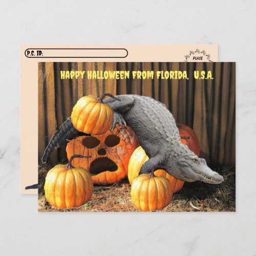 Postcrossing _ Halloween Pumpkins and Gator  Postcard