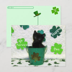 Postcrossing Handsome Jack = Cat St. Patrick's Day Postcard