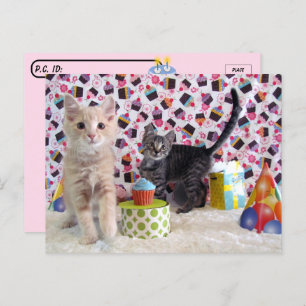 Postcrossing - Happiest of Birthdays -  Cat Postcard