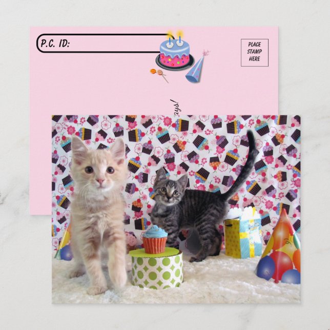 Postcrossing - Happiest of Birthdays -  Cat Postcard (Front/Back)
