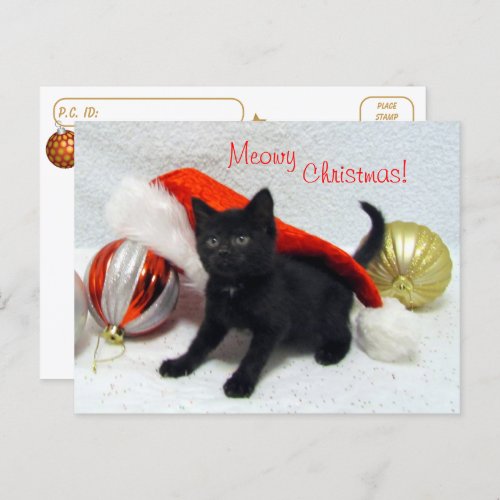 Postcrossing _ Joons Christmas _ Cat  Kitten  Postcard