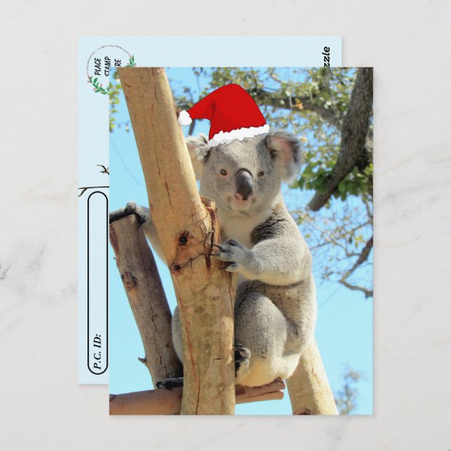 Postcrossing - Koala Christmas Postcard (Front/Back)