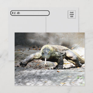 Postcrossing - Komodo Dragon Coming For You  Postcard