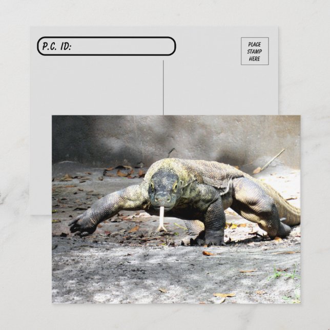 Postcrossing - Komodo Dragon Coming For You  Postcard (Front/Back)