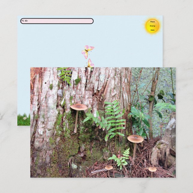 Postcrossing - Little Mushrooms Postcard (Front/Back)