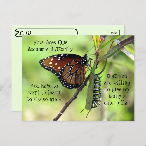 Postcrossing _ Monarch Butterfly  Caterpillar Postcard