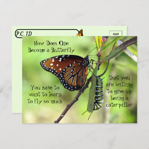 Postcrossing _ Monarch Butterfly  Caterpillar Postcard