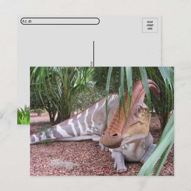 Postcrossing Parasaurolophus - Dinosaur - Postcard (Front/Back)
