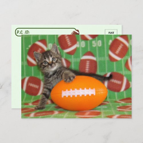 Postcrossing Patton Plays Football _ Cat Postcard