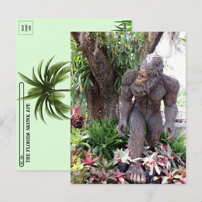 Postcrossing - Pic of a statue Florida Skunk Ape Postcard (Front/Back)