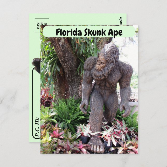 Postcrossing - Pic of Florida Skunk Ape Postcard (Front/Back)