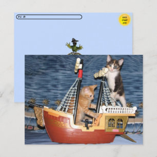 Postcrossing Pirate Kittens Postcard