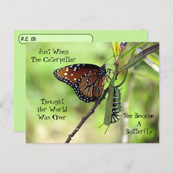 Postcrossing Queen Butterfly & Monarch W/ Id Box Postcard by CatsEyeViewGifts at Zazzle