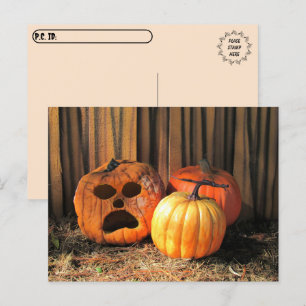 Postcrossing - Rotten Pumpkins Halloween Postcard
