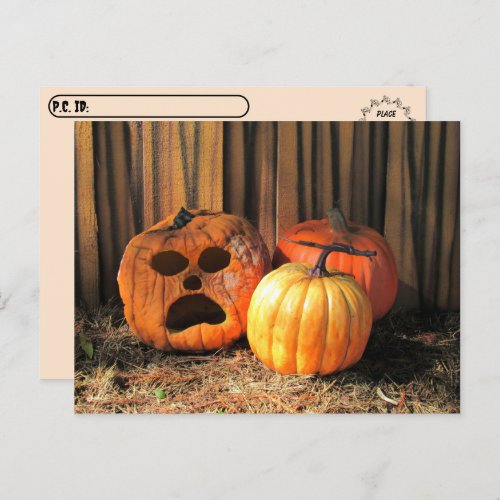 Postcrossing _ Rotten Pumpkins Halloween Postcard