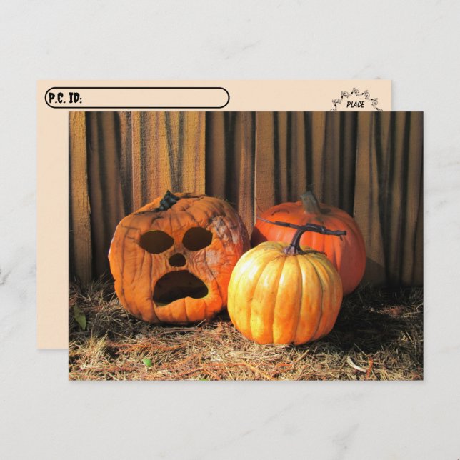 Postcrossing - Rotten Pumpkins Halloween Postcard (Front/Back)