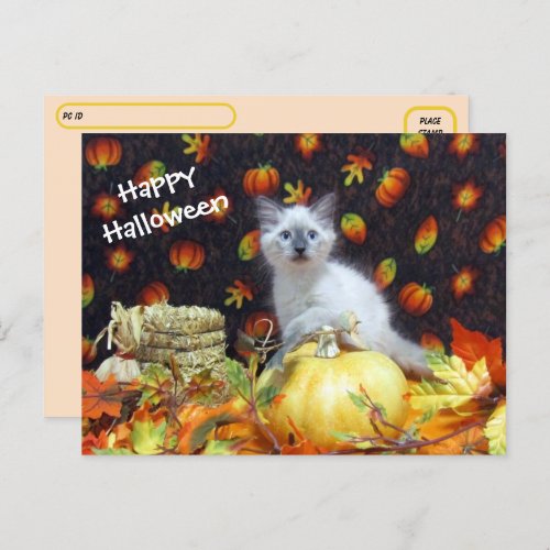 Postcrossing _ Savannahs Halloween Postcard _ Cat