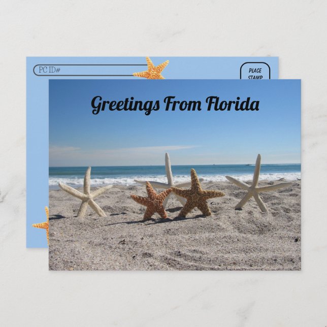 Postcrossing - Seashells on the Beach Postcard (Front/Back)