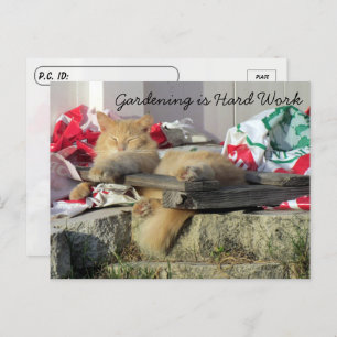 Postcrossing - Simba the Cat's Gardening Postcard