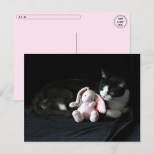 Postcrossing Some Bunny Loves Me - Cat Postcard