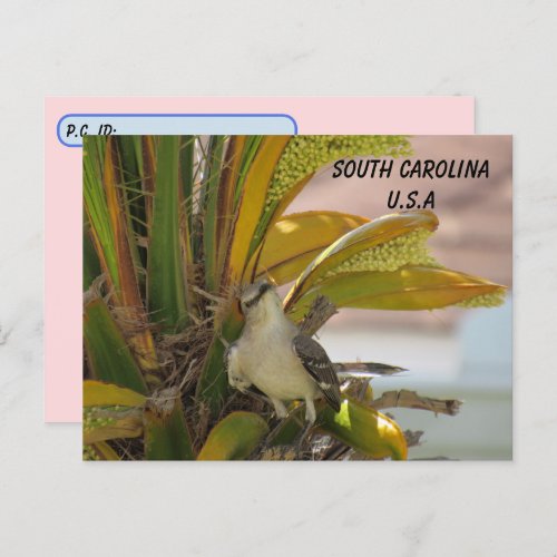 Postcrossing South Carolina State Bird w ID Box Postcard
