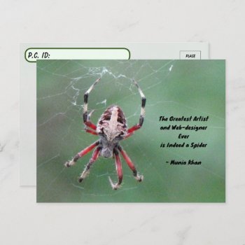 Postcrossing Spotted Orbweaver Spider Postcard by CatsEyeViewGifts at Zazzle