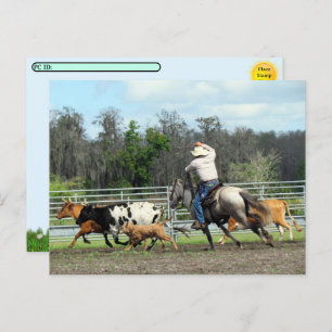 Postcrossing - The Roundup - Cowboy Postcard