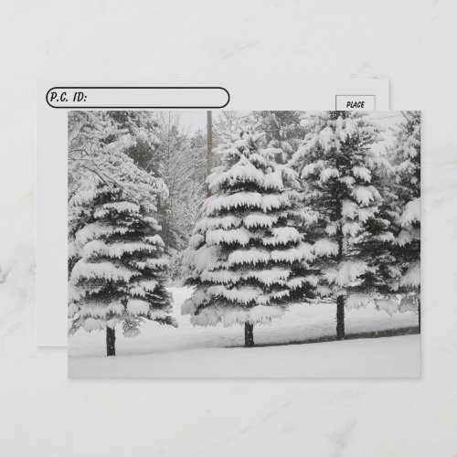 Postcrossing _ Vermonts Winter Wonderland in BW Postcard