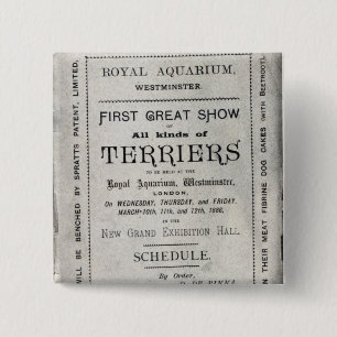 Poster advertising the Allied Terrier Club Button