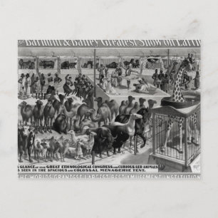 Poster advertising, 'The Barnum and Bailey Postcard