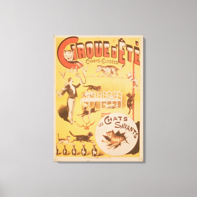 Poster advertising the Cirque d'Ete in the Canvas Print (Front)