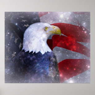 Poster/American Bald Eagle and Flag Poster