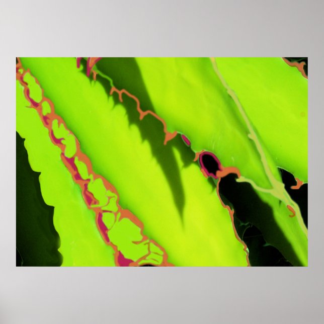 POSTER AND PRINTS (Front)